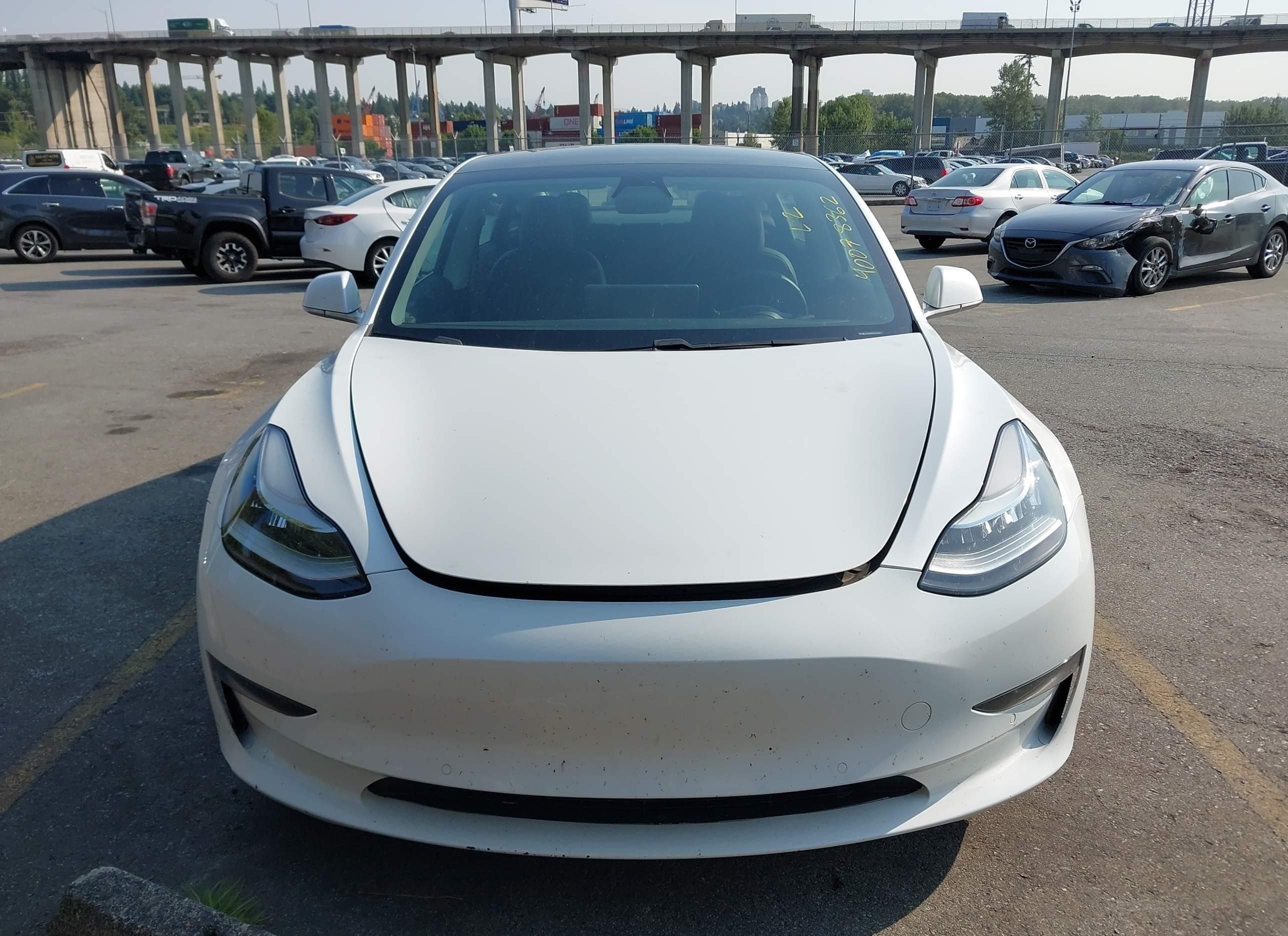 2019 Tesla Model 3, фото 2