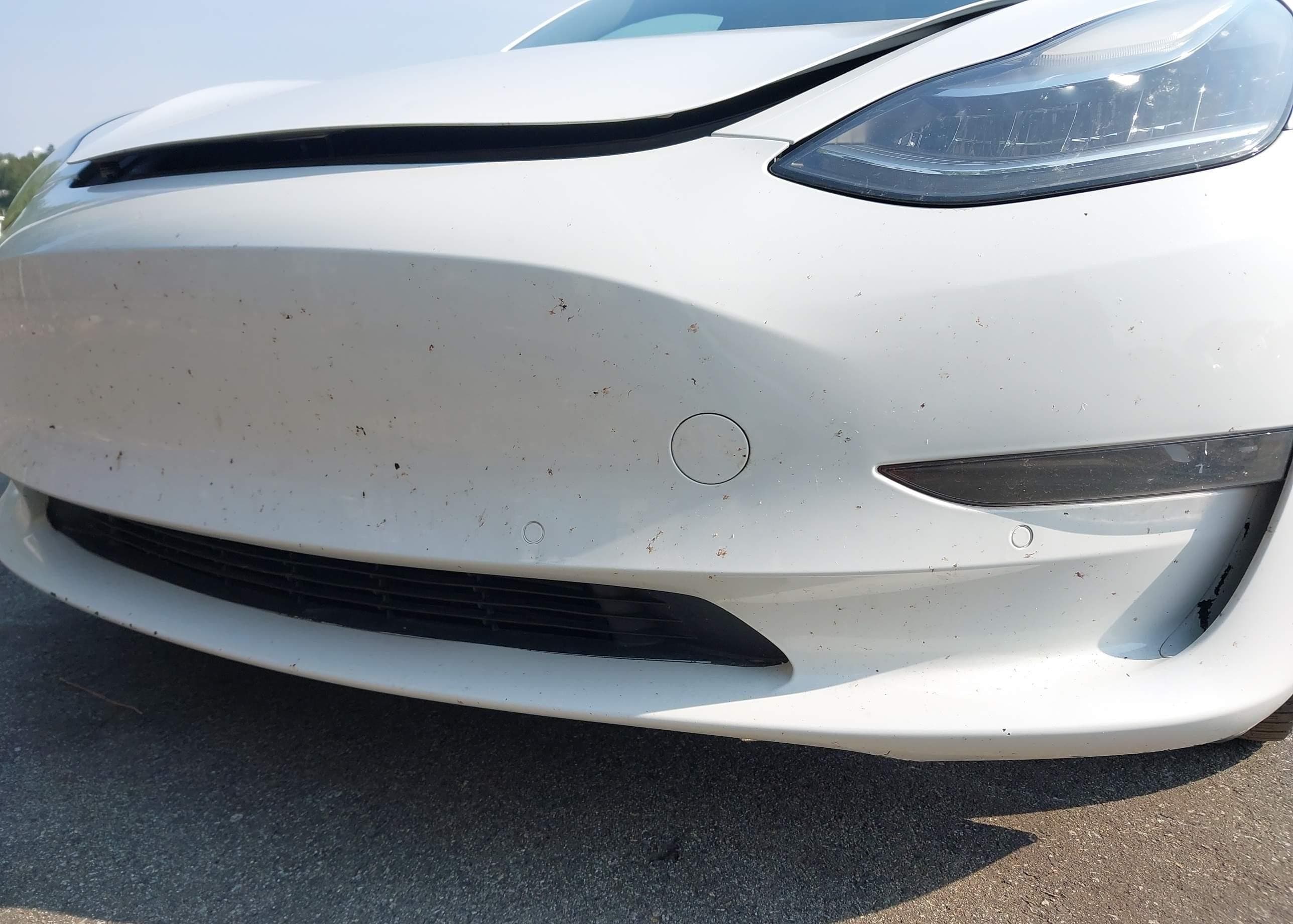 2019 Tesla Model 3, фото 6