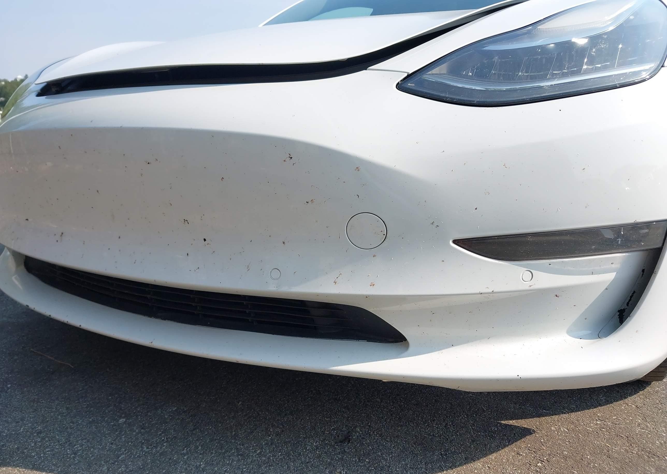 2019 Tesla Model 3, фото 7