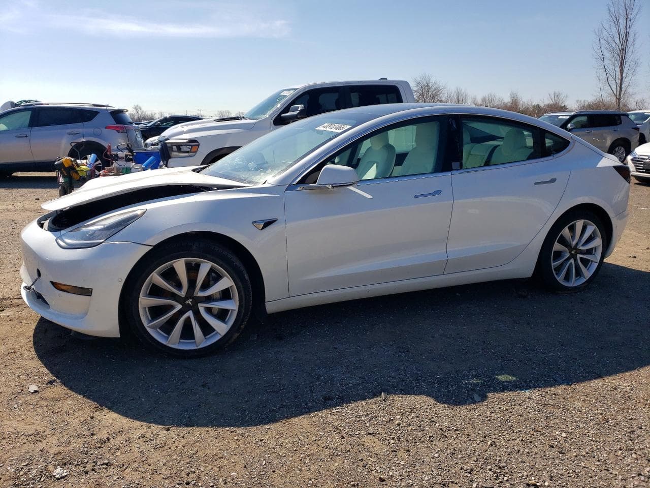 2020 Tesla Model 3, фото 2