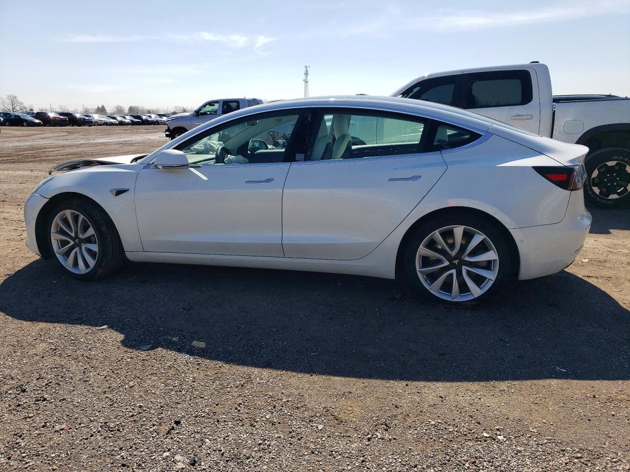 2020 Tesla Model 3